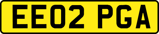 EE02PGA