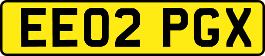 EE02PGX