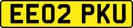 EE02PKU