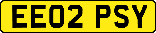 EE02PSY