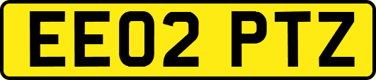EE02PTZ