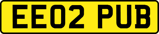 EE02PUB
