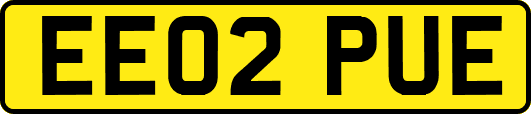 EE02PUE