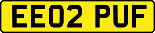 EE02PUF
