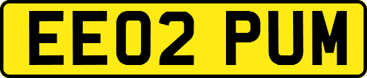 EE02PUM