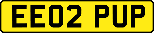 EE02PUP