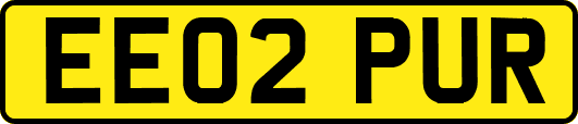 EE02PUR