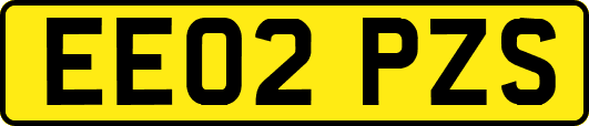EE02PZS
