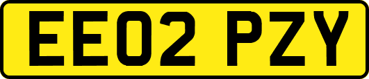 EE02PZY