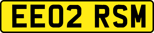 EE02RSM
