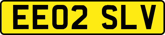 EE02SLV