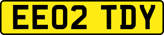 EE02TDY