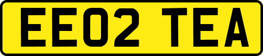 EE02TEA
