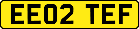 EE02TEF