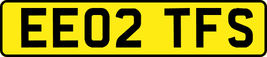 EE02TFS