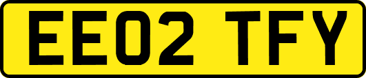 EE02TFY