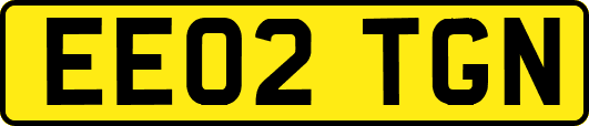 EE02TGN