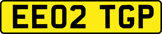 EE02TGP