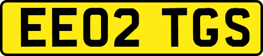 EE02TGS
