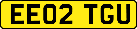EE02TGU