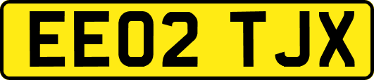 EE02TJX