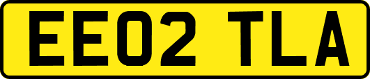 EE02TLA