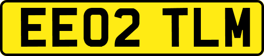 EE02TLM