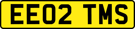EE02TMS