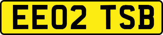 EE02TSB