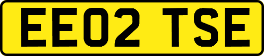EE02TSE