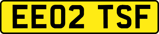 EE02TSF