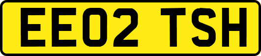 EE02TSH