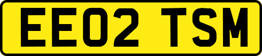 EE02TSM