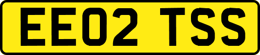 EE02TSS