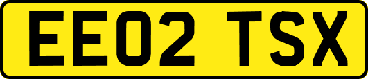 EE02TSX
