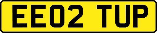 EE02TUP