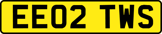 EE02TWS