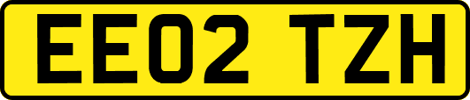 EE02TZH