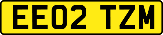 EE02TZM