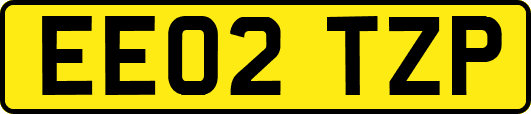 EE02TZP
