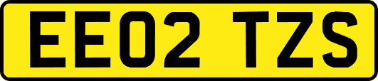 EE02TZS