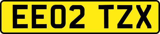 EE02TZX