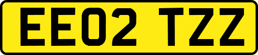 EE02TZZ
