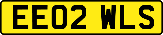 EE02WLS