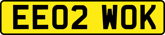 EE02WOK