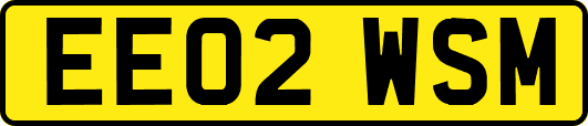 EE02WSM