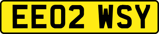 EE02WSY