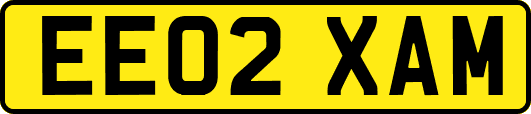EE02XAM