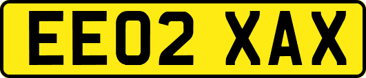 EE02XAX