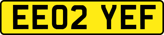 EE02YEF